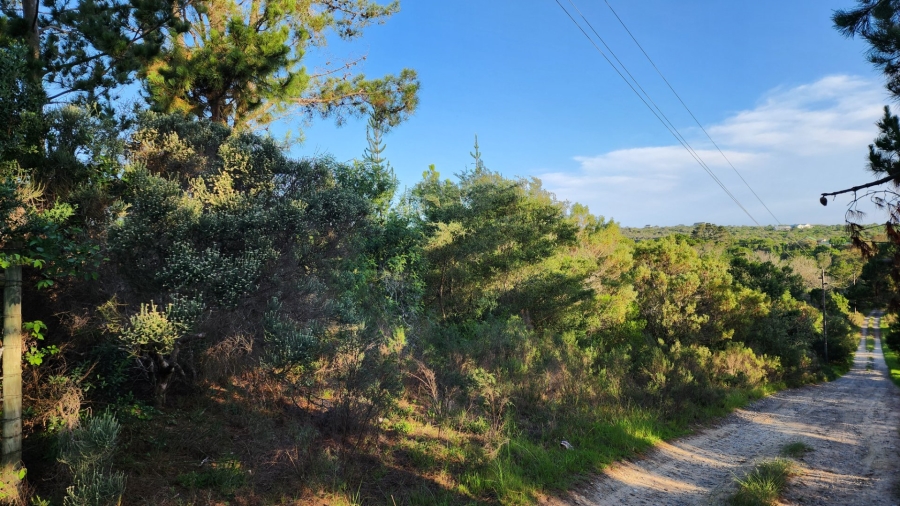 Commercial Property for Sale in Langvlei Dunes Western Cape